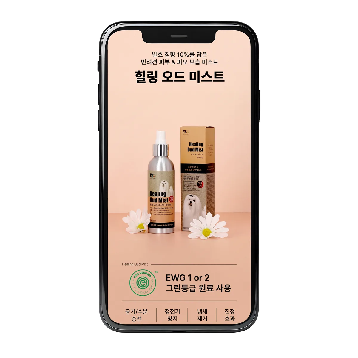 힐링펫푸드 영양제 & 의약외품